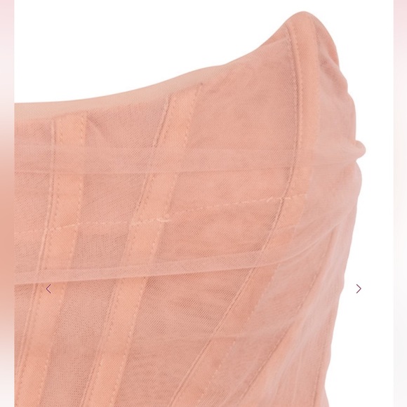 House of CB Leila Blush Mesh Corset Mini Dress| Size XS| No Tags, Not Worn - Picture 5 of 13